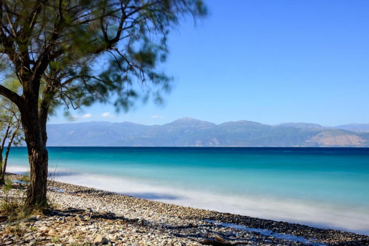 Oliva Holiday Homes Dhiyeliotika Bagian luar foto