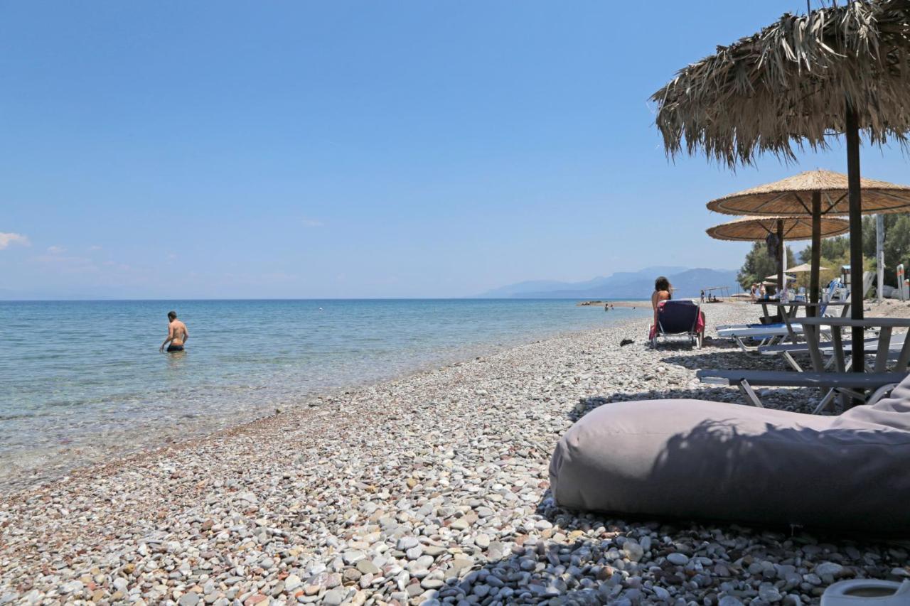 Oliva Holiday Homes Dhiyeliotika Bagian luar foto